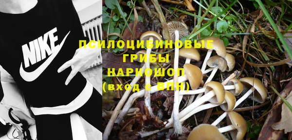 герыч Абаза